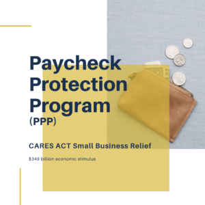 Paycheck Protection Program (PPP) |Anne Muchine